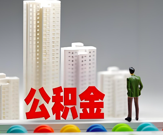 茂名委托他人办理需要提供什么证件。